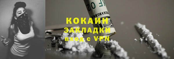 трава Белокуриха